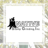 18 Best Tree Care Services In Sarasota Fl Tree Trimming