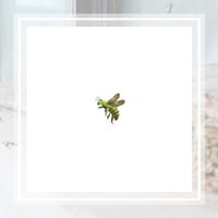11 Best Pest Control Companies in Columbia, SC | Exterminators