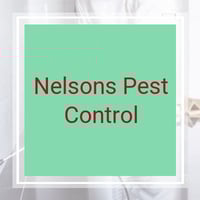 10 Best Pest Control Services In New Port Richey Fl Exterminators