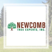 11 Best Tree Care Services In Los Altos Ca Tree Removal
