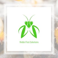 11 Best Pest Control Companies In Hendersonville Nc Exterminators