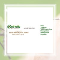 10 Best Pest Control Services In Apopka Fl Exterminators