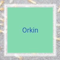 Pacoima Ca Pest Control Exterminators Best 2021