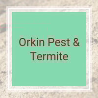 10 Best Pest Control Services In Atlanta Ga Exterminators