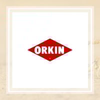 10 Best Pest Control Services In Canton Ga Exterminators Has established itself as a leader in providing exceptional pest control service throughout the greater bay area. 10 best pest control services in canton