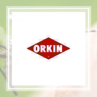 11 Best Pest Control Companies In Skokie Il Exterminators