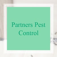 11 Best Pest Control Companies In Coral Springs Fl Exterminators