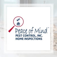 11 Best Pest Control Companies In Modesto Ca Exterminators