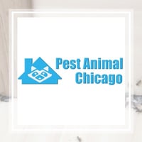 12 Best Pest Control Companies In Wilmot Il