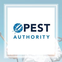 11 Best Pest Control Companies In Chattanooga Tn Exterminators