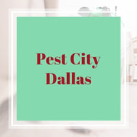 6 Best Pest Control Services In Frisco Tx 2021 Exterminators