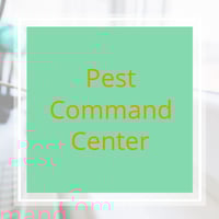 11 Best Pest Control Companies In Little Rock Ar Exterminators
