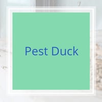 10 Best Pest Control Services In El Mirage Az Exterminators