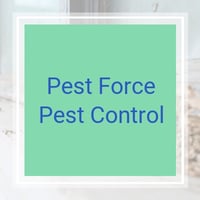 11 Best Pest Control Companies In Midlothian Tx Exterminators See more of pied piper pest, termite & lawn service on facebook. 11 best pest control companies in