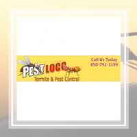 18 Best Pest Control Services In Tallahassee Fl Exterminators