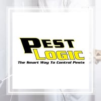 11 Best Pest Control Companies In Deerfield Beach Fl Exterminators