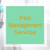 10 Best Pest Control Services In Sterling Va Exterminators