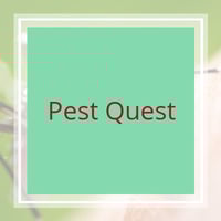 11 Best Pest Control Companies In Frederick Md Exterminators