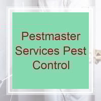 15 Best Pest Control Services In Reno Nv Exterminators