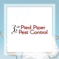 10 Best Pest Control Services In San Antonio Tx Exterminators Pied piper pest control and termite protection is owned and operated in cherokee county. 10 best pest control services in san