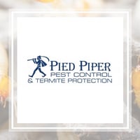10 Best Pest Control Services In Canton Ga Exterminators Ask a question about working or interviewing at pied piper pest control. 10 best pest control services in canton