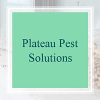 pest control companies in vista ca
