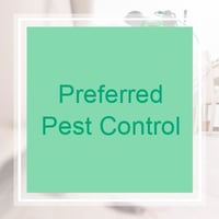 11 Best Pest Control Companies In Savannah Ga Exterminators