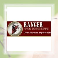 The 11 Best Pest Control Companies In Austin Tx