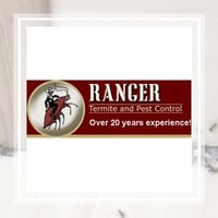 10 Best Pest Control Services In Saint Petersburg Fl Exterminators