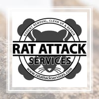 17 Best Pest Control Services In Lakeland Fl Exterminators