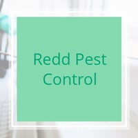 7 Best Pest Control Companies In Clarkedale Tn