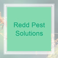 11 Best Pest Control Companies In Brandon Ms Exterminators