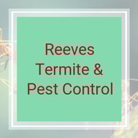 6 Best Pest Control Services In Mansfield Tx 2021 Trimming Removal More