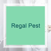 11 Best Pest Control Companies In Canton Mi Exterminators