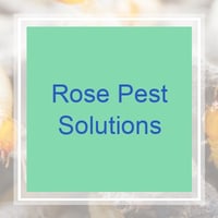 11 Best Pest Control Companies in Cuyahoga Falls, OH ...