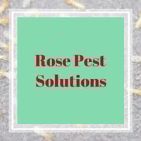 10 Best Pest Control Services In Hamilton Oh Exterminators