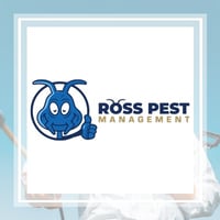 11 Best Pest Control Companies In Dayton Oh Exterminators