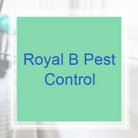 11 Best Pest Control Companies In Edmond Ok Exterminators
