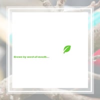 10 Best Tree Care Services In Denver Co Tree Trimming