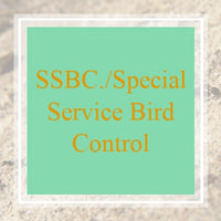 11 Best Pest Control Companies In Rancho Cordova Ca Exterminators
