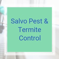 11 Best Pest Control Companies In Saint Charles Mo Exterminators We have slowly but strongly built our reputation on. 11 best pest control companies in saint