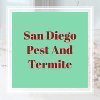 17 Best Pest Control Services In San Diego Ca Exterminators