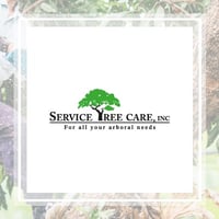 King Tree Services Gift Card - Manassas, VA - Giftly