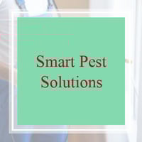 10 Best Pest Control Services In Tempe Az Exterminators