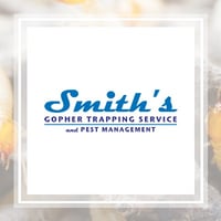11 Best Pest Control Companies In Santa Cruz Ca Exterminators