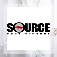 9 Best Pest Control Companies In Sun City Ca