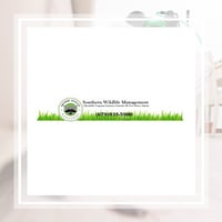 10 Best Pest Control Services In Duluth Ga Exterminators