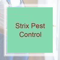 11 Best Pest Control Companies In Corona Ca Exterminators