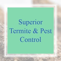 10 Best Pest Control Services In Virginia Beach Va Exterminators