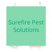 11 Best Pest Control Companies In Lynnwood Wa Exterminators